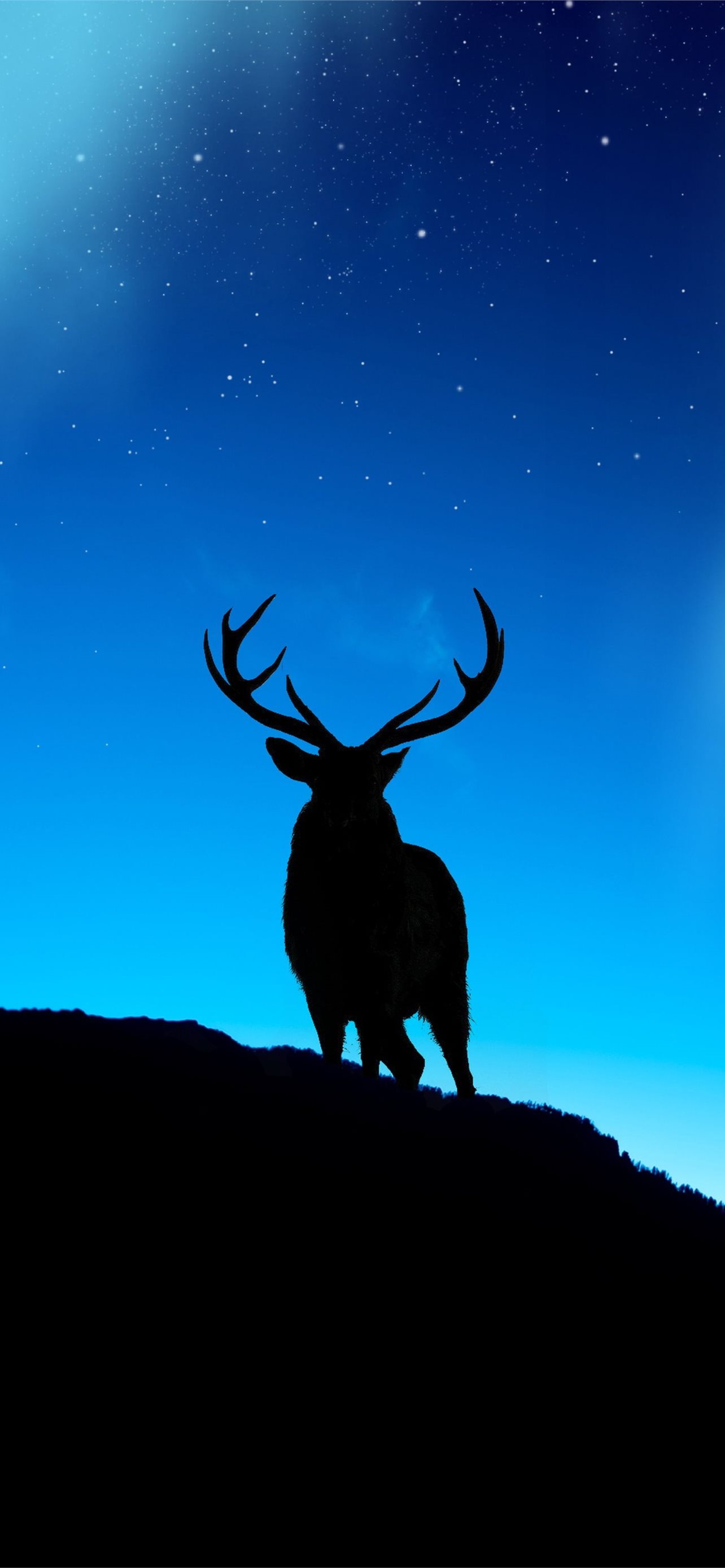 Moose Iphone Wallpapers