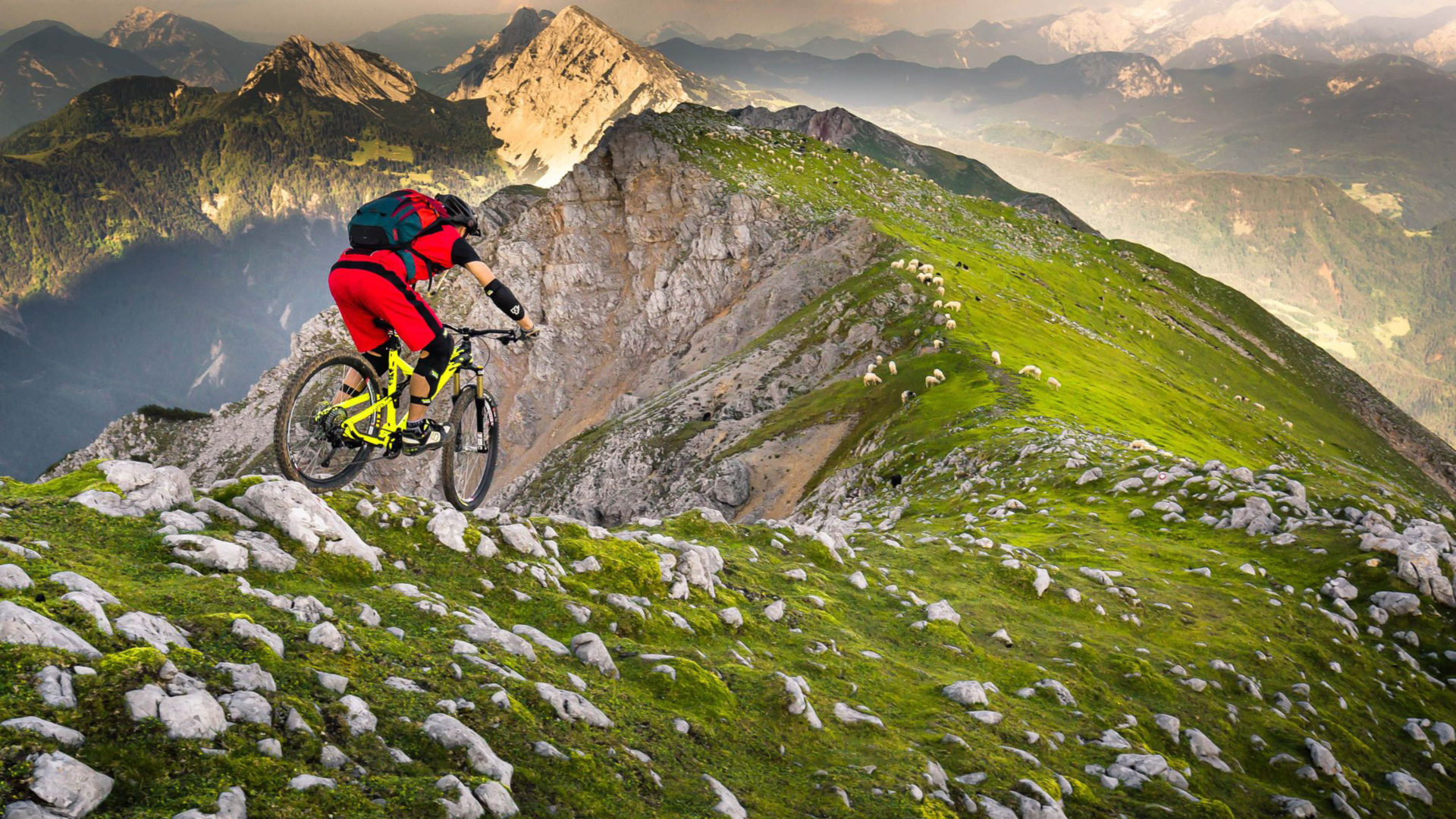 Mountain Bike Trail Wallpapers