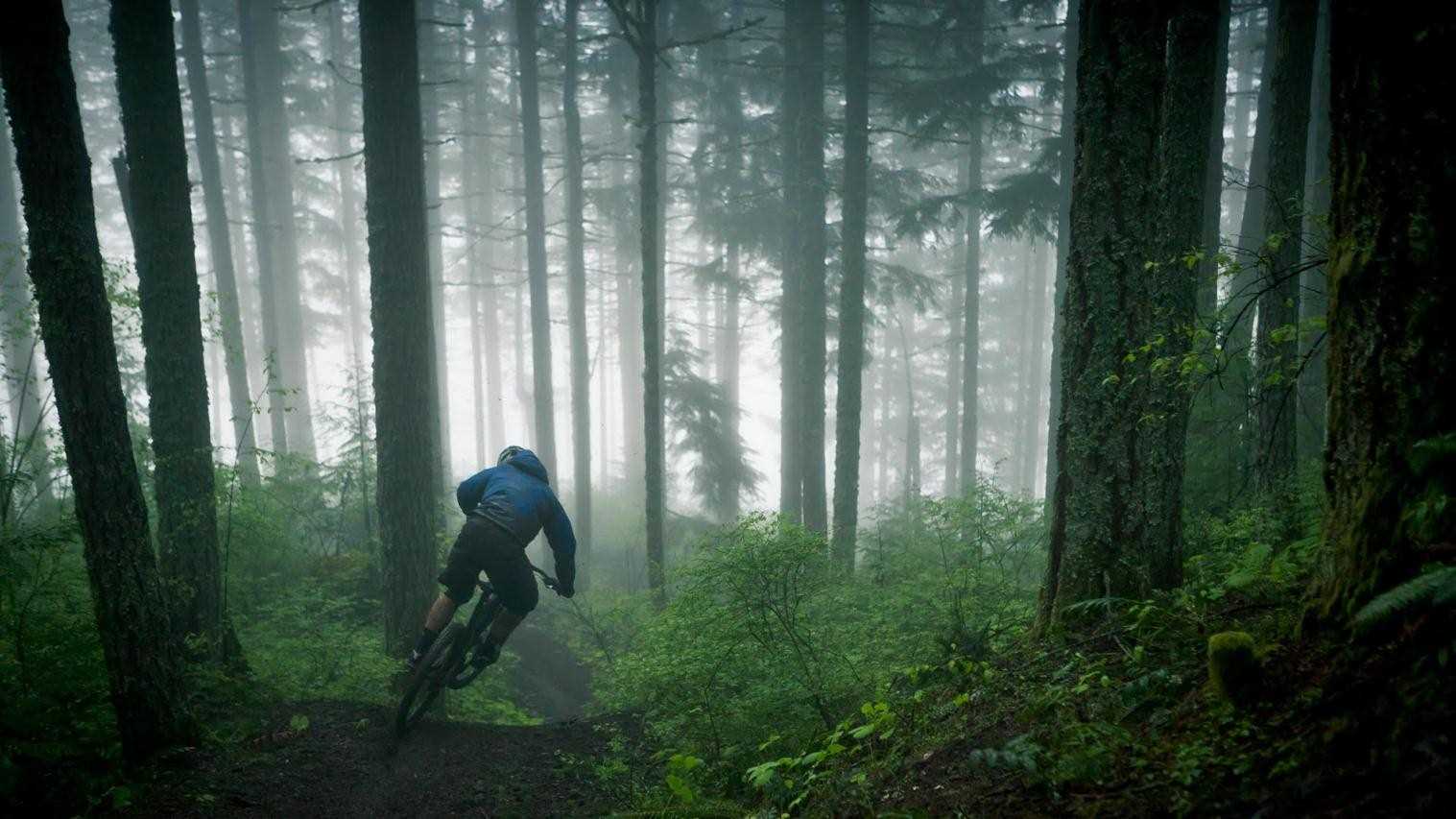 Mountain Bike Trail Wallpapers