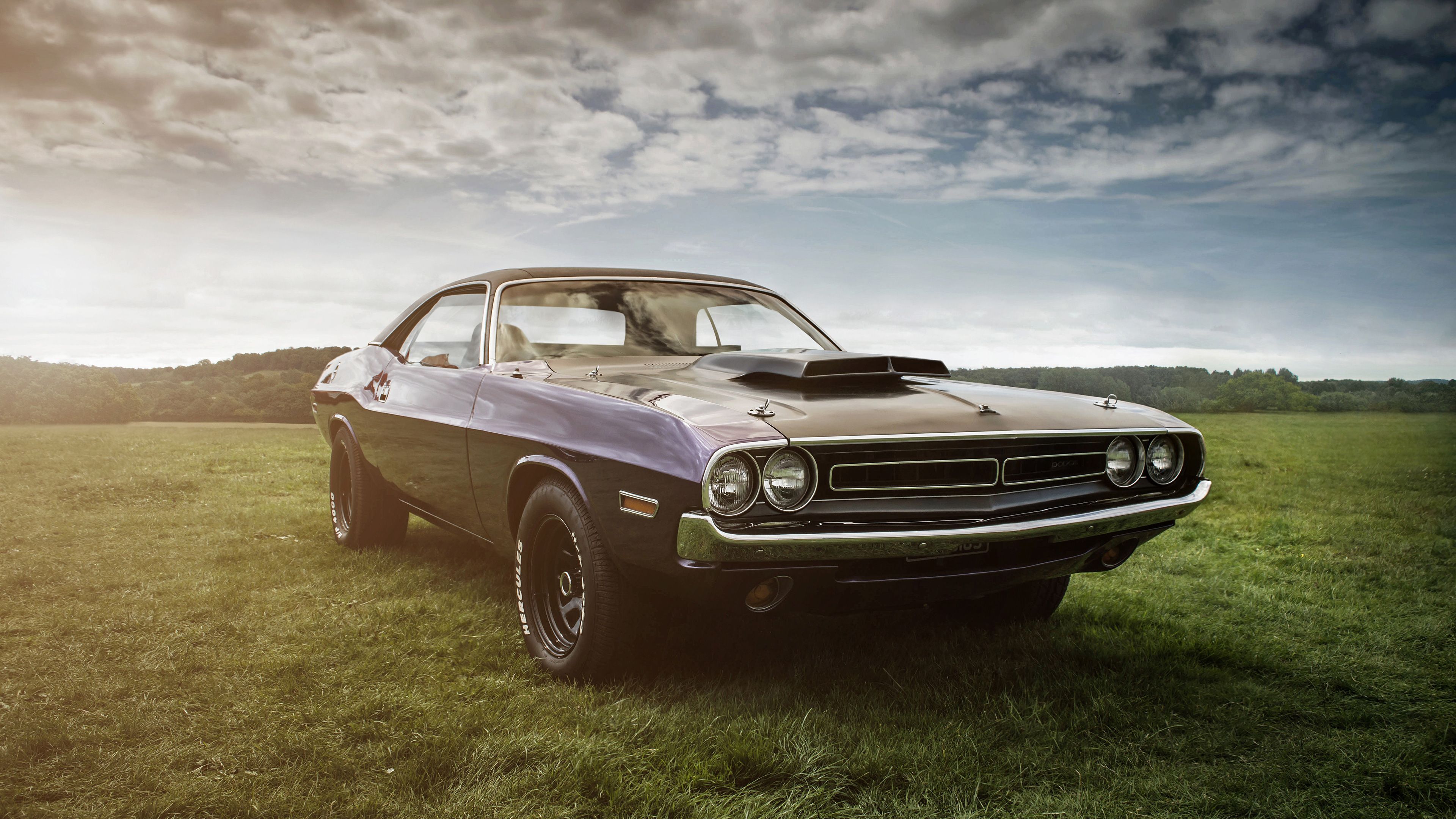 Muscle Car 4K Wallpapers