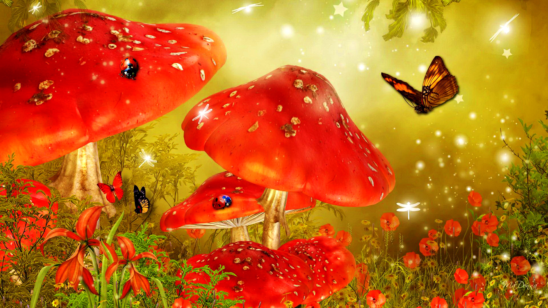 Mushroom Landscape Wallpapers