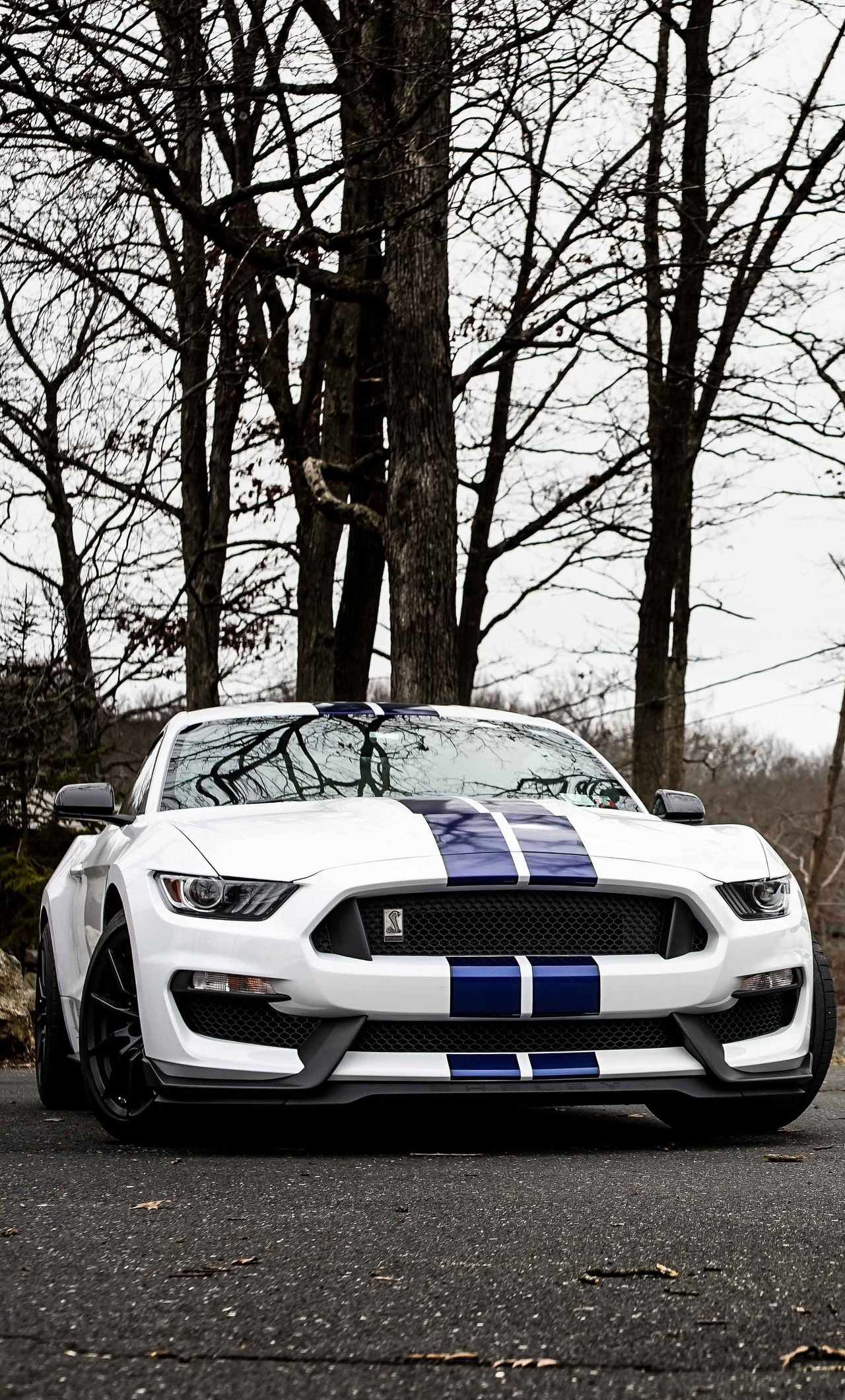 Mustang Gt350 Wallpapers