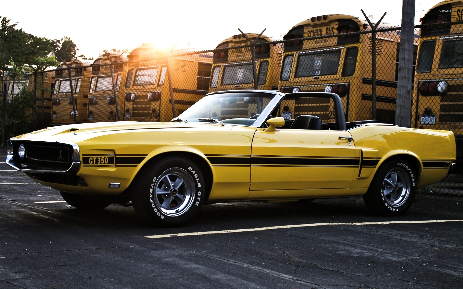 Mustang Gt350 Wallpapers