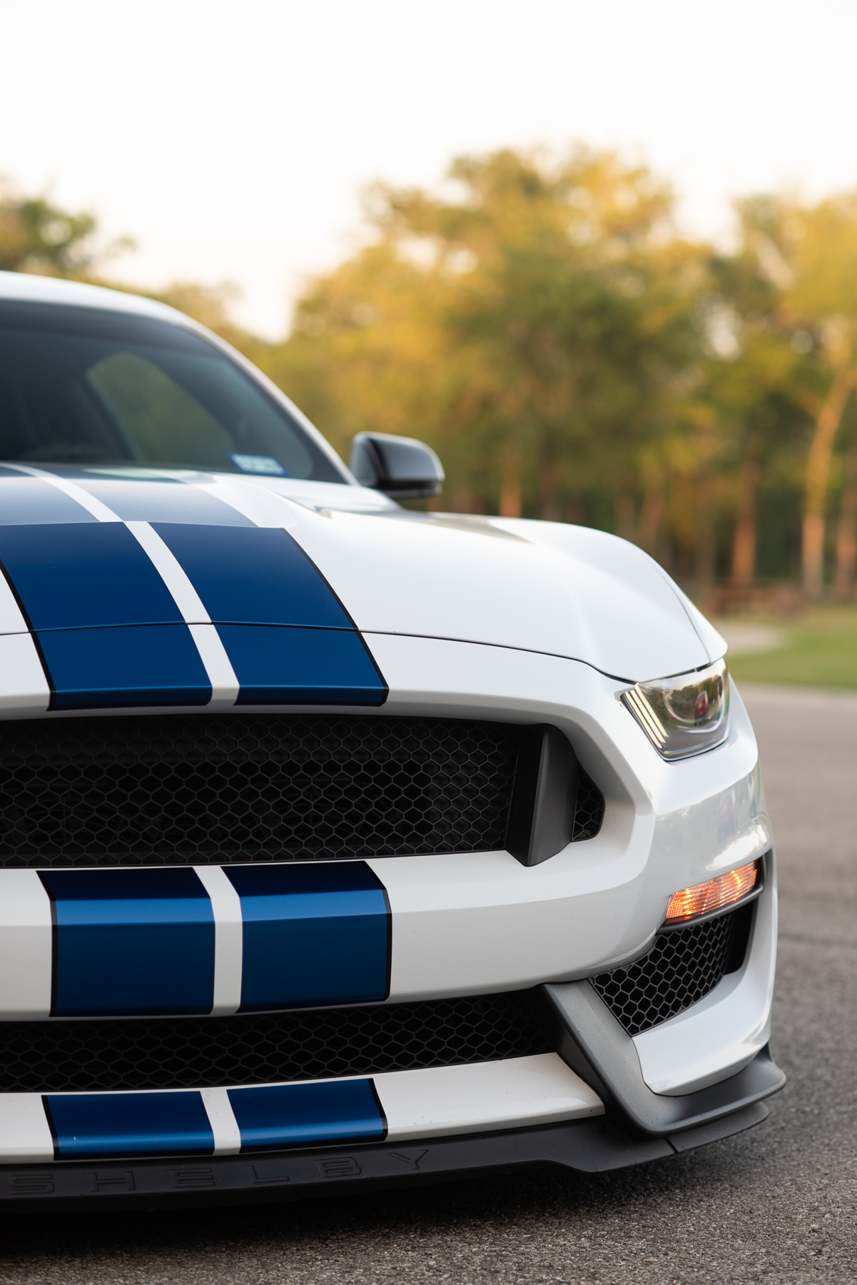 Mustang Gt350 Wallpapers