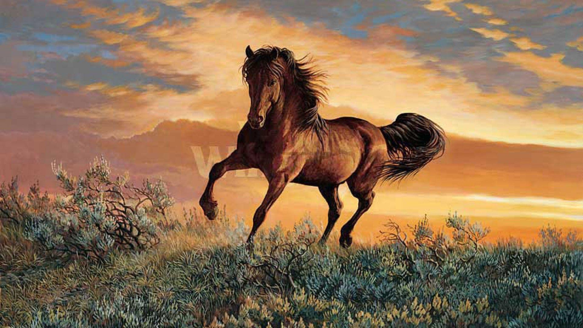 Mustang Horse Wallpapers