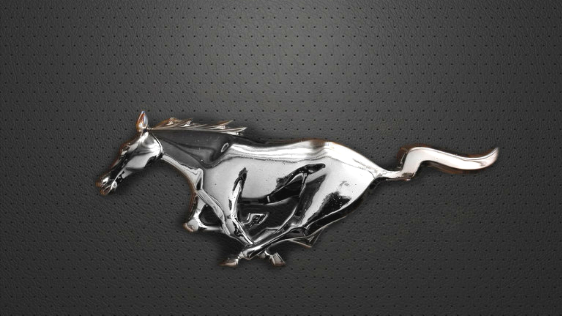 Mustang Logo Wallpapers