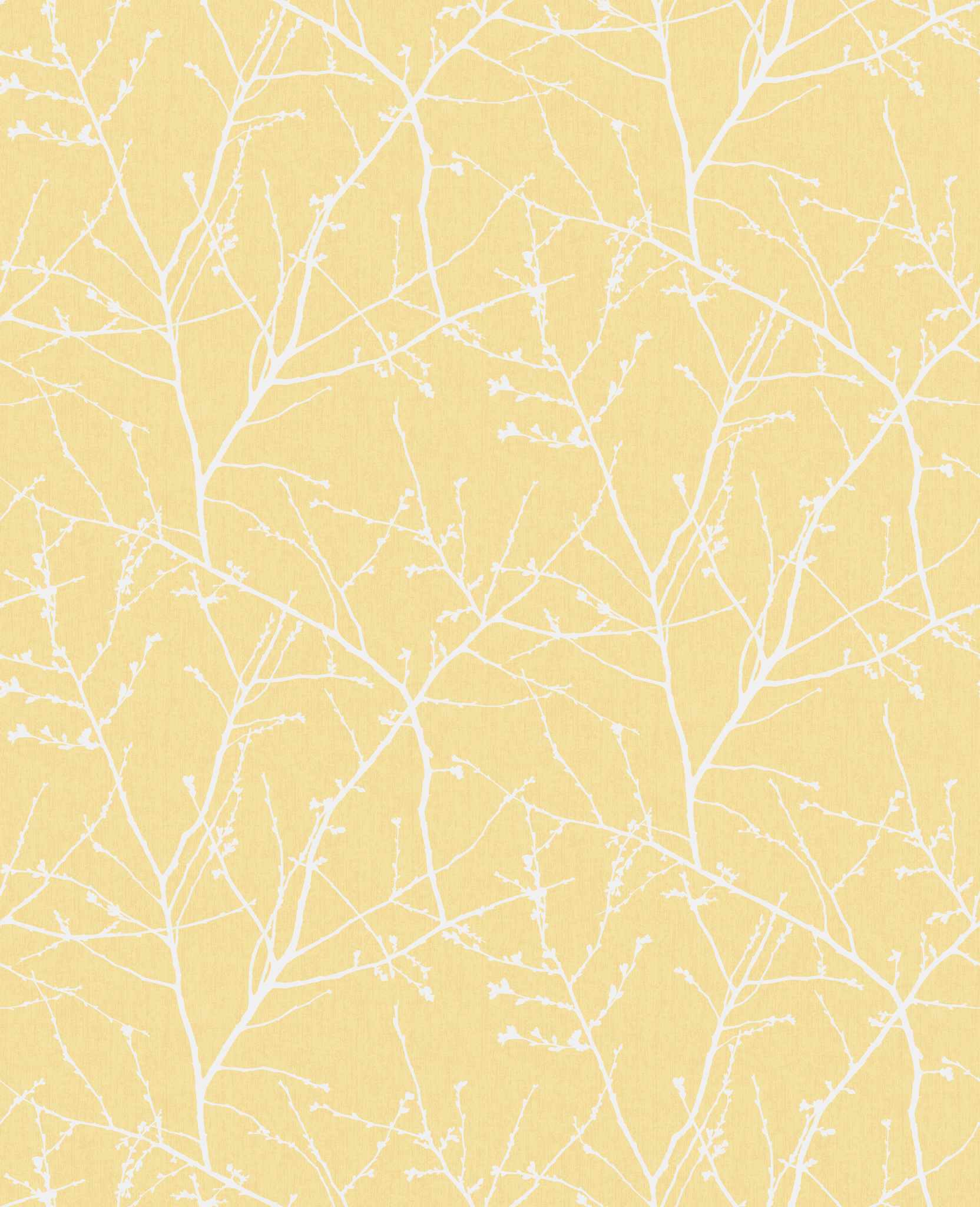 Mustard Wallpapers
