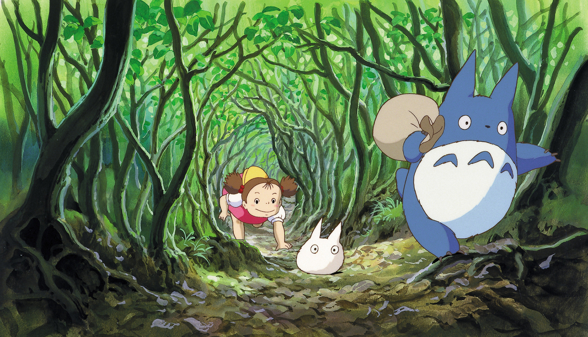 My Neighbor Totoro For Laptop Wallpapers