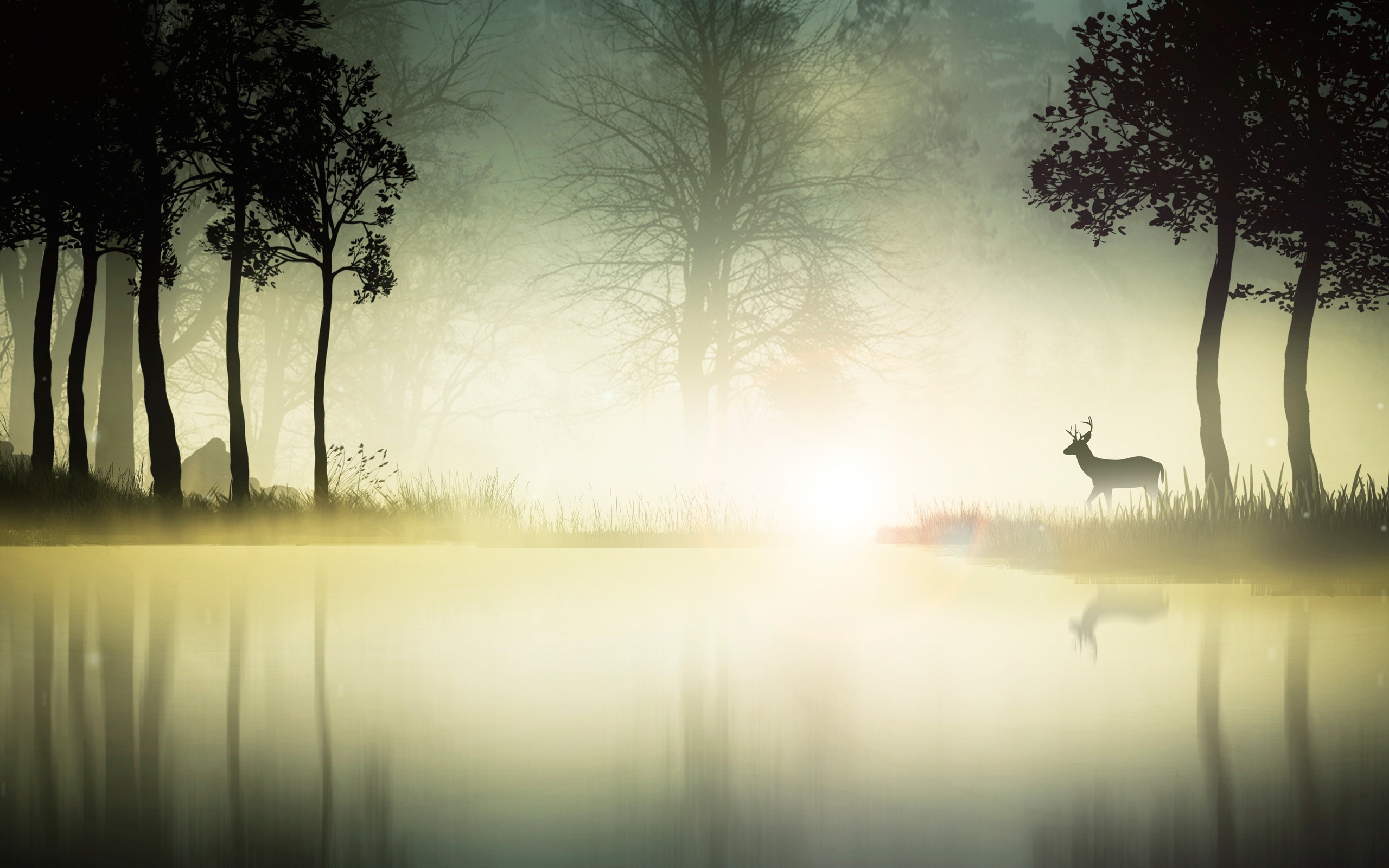 Mystical Foggy Forest Wallpapers