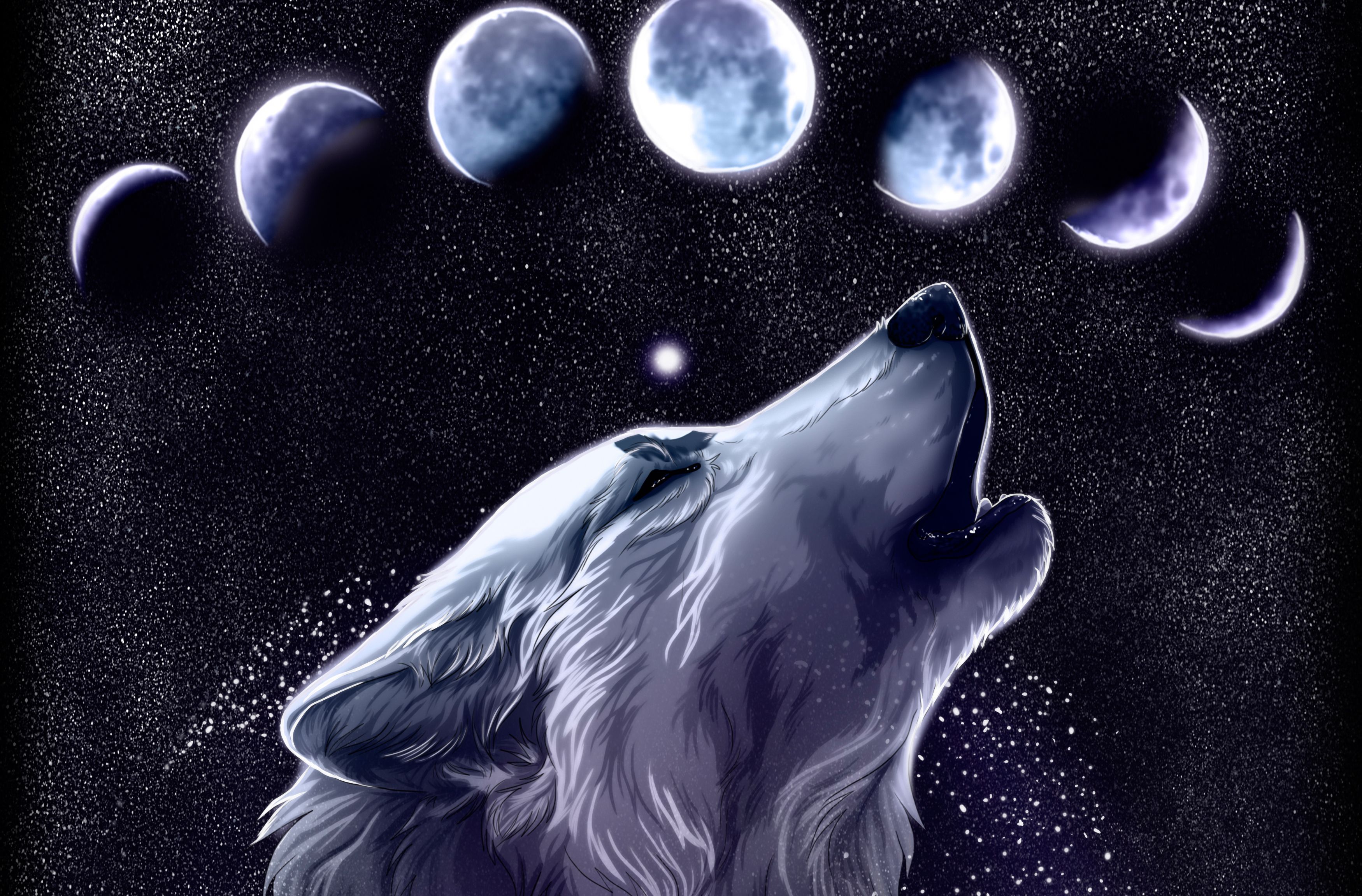 Mystical Galaxy Wolf Wallpapers