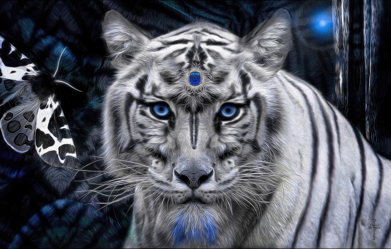 Mystical White Tiger Wallpapers