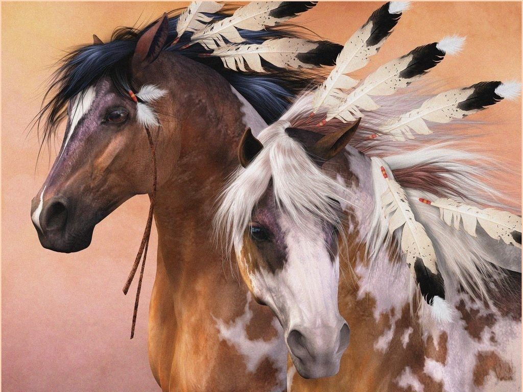 Native American Horse Wallpapers