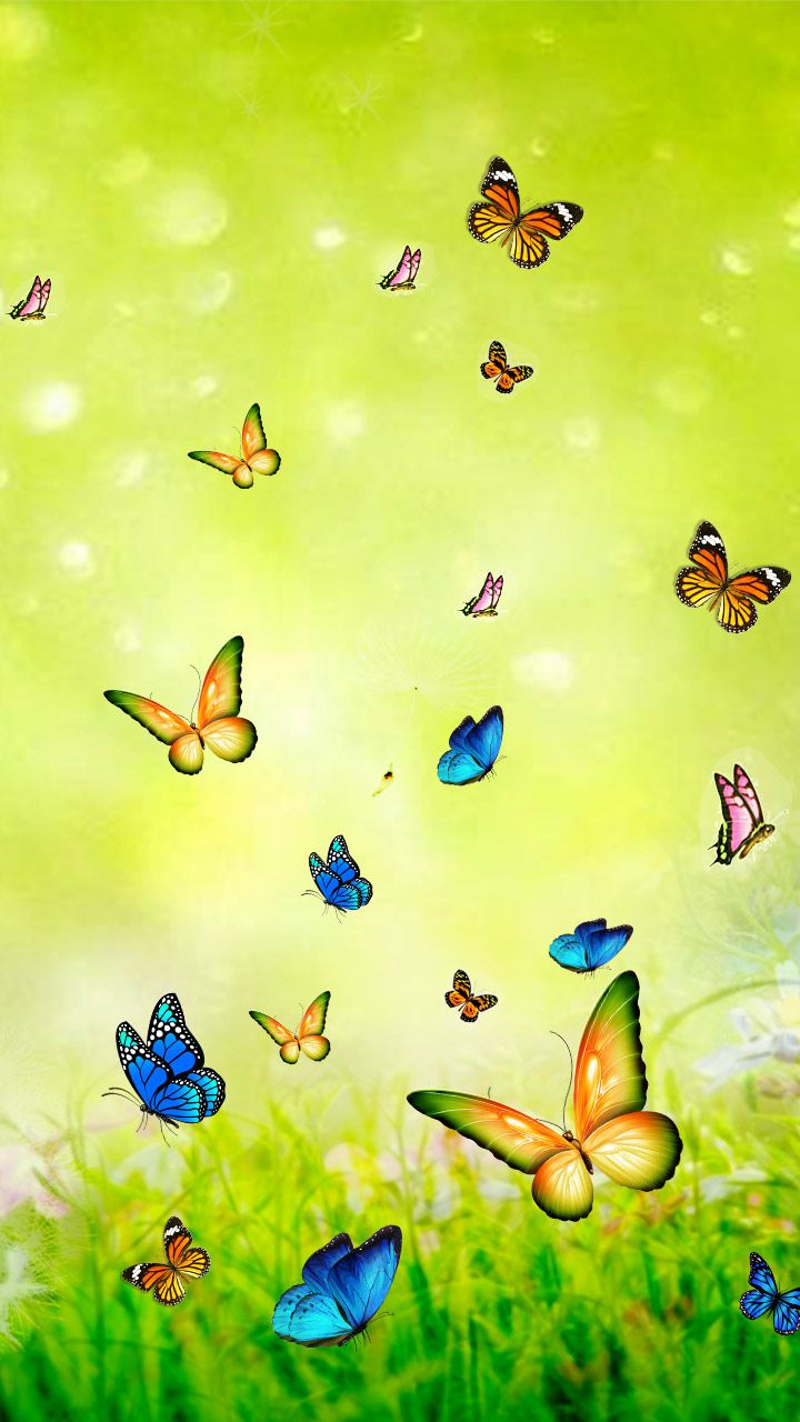 Natural Butterfly Wallpapers