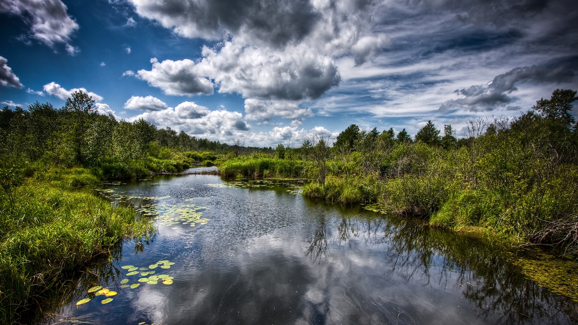 Nature Desk Top Wallpapers