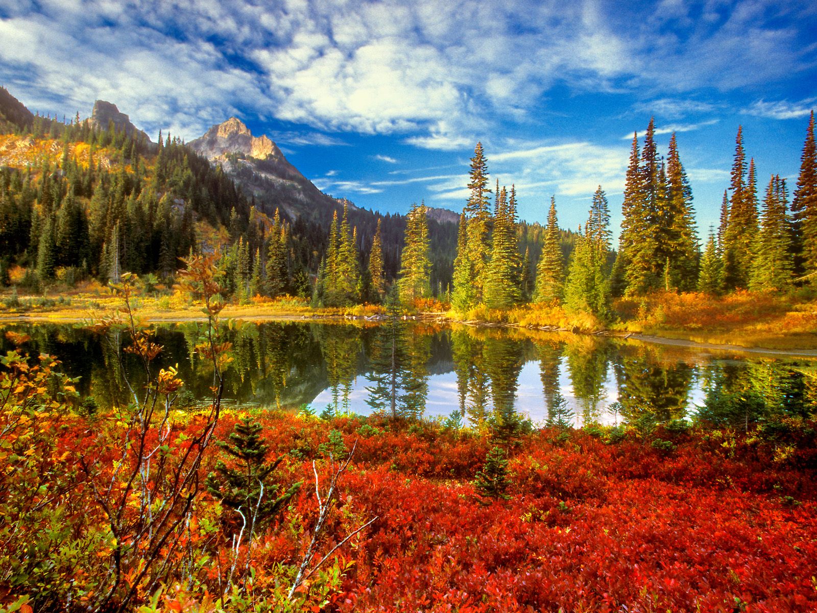 Nature Landscape Wallpapers