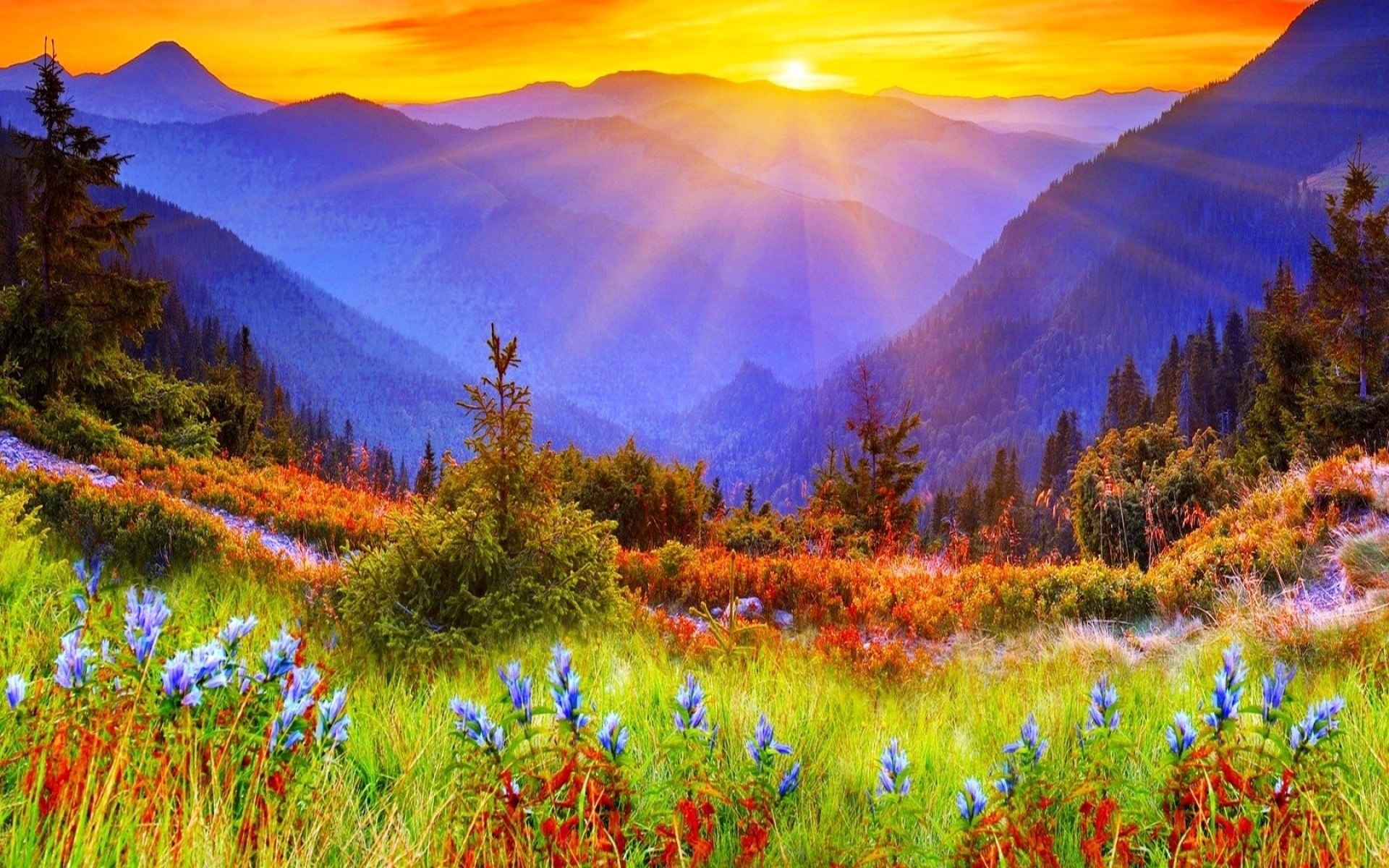 Nature Sunrise Wallpapers