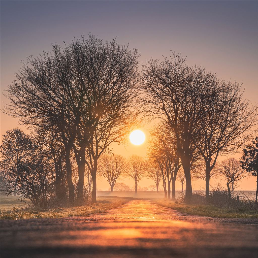 Nature Sunrise Wallpapers