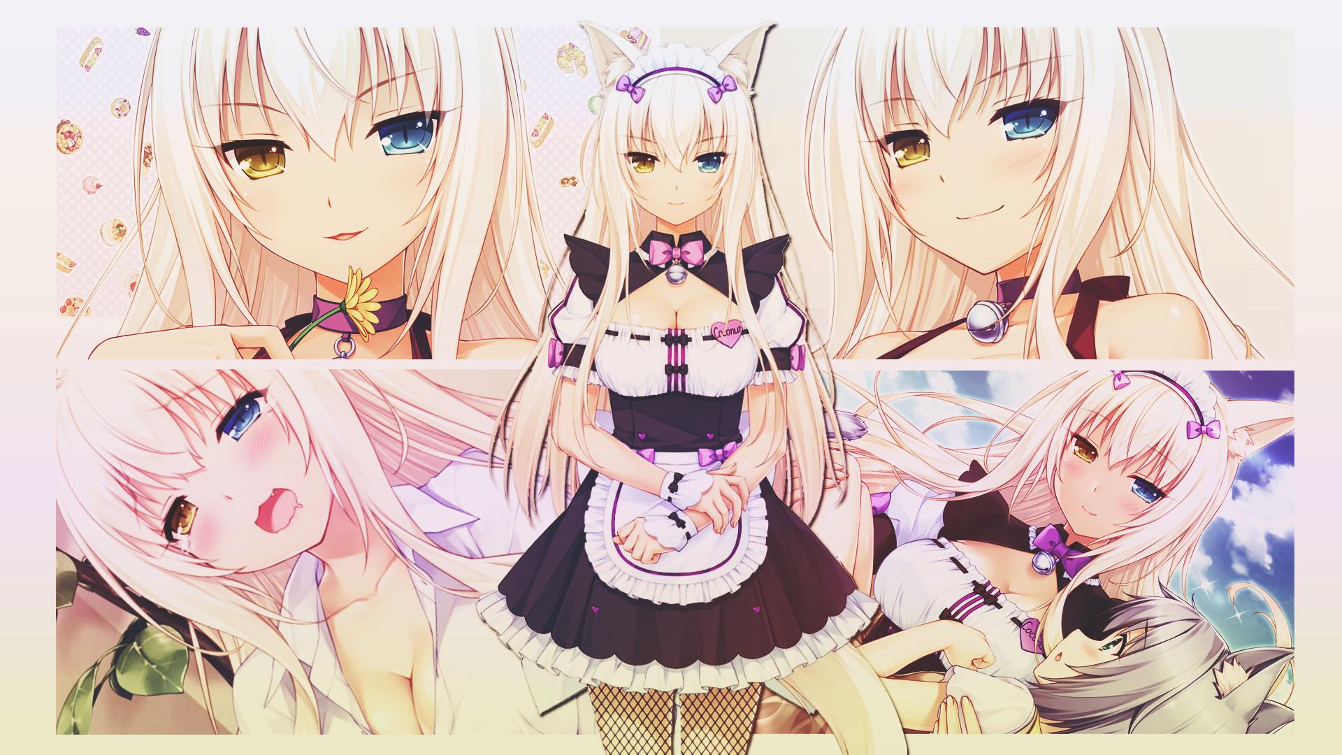 Nekopara 1920X1080 Wallpapers