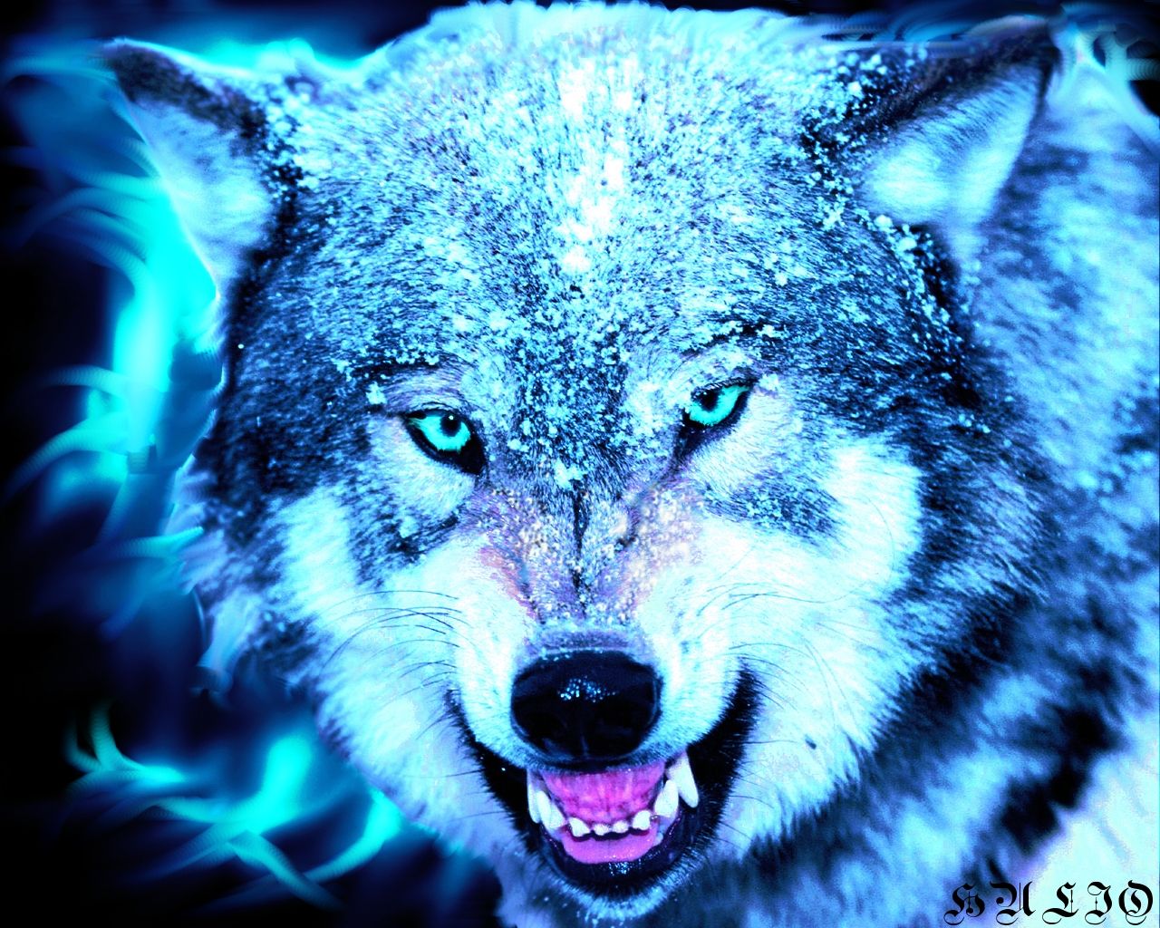 Neon Green Wolf Wallpapers