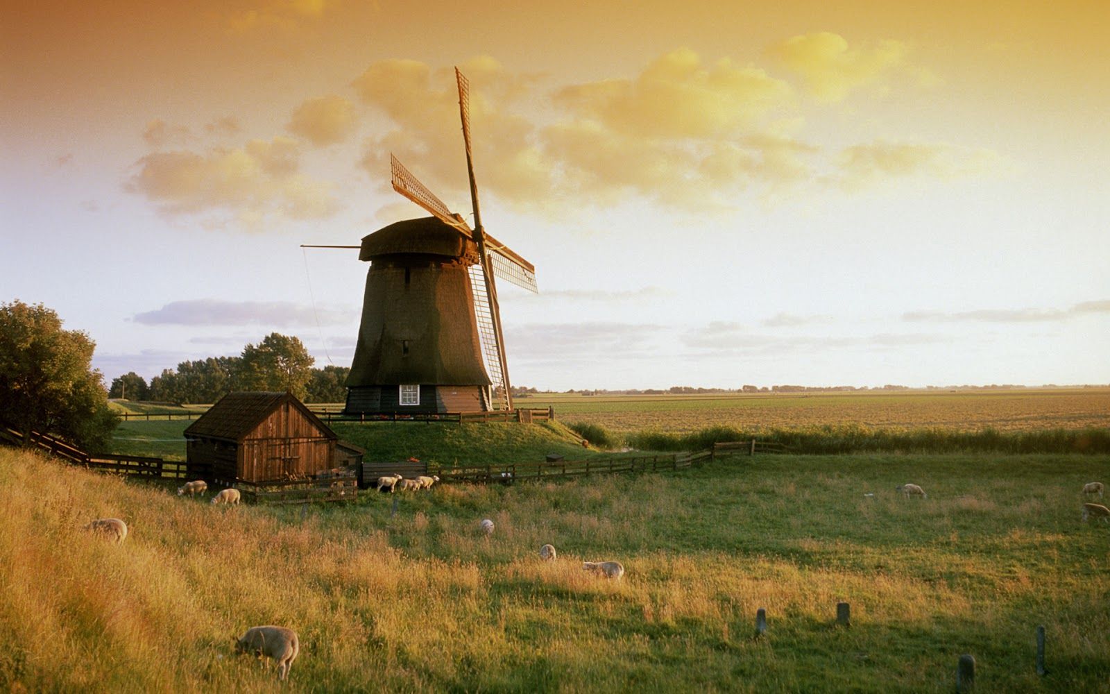 Netherlands Landscapes Wallpapers