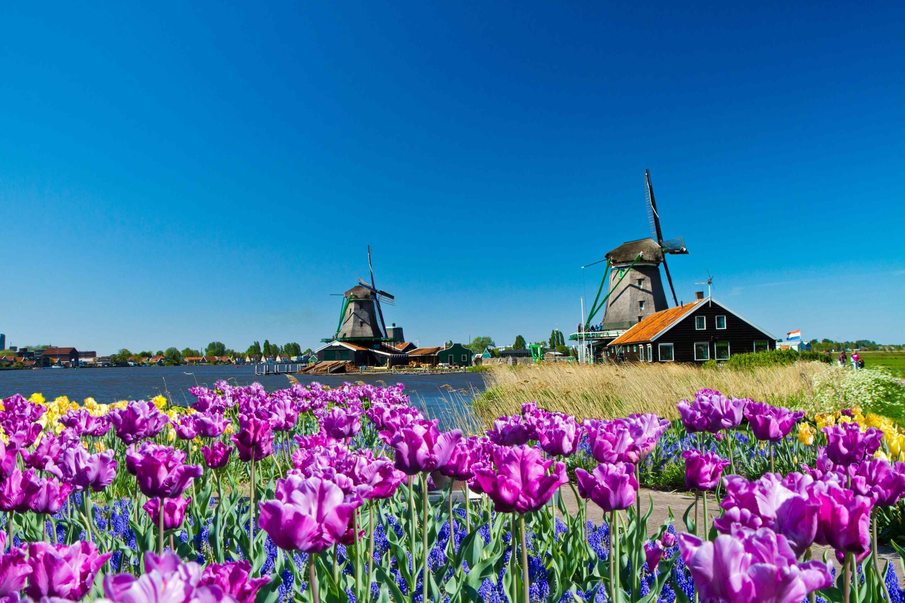 Netherlands Landscapes Wallpapers