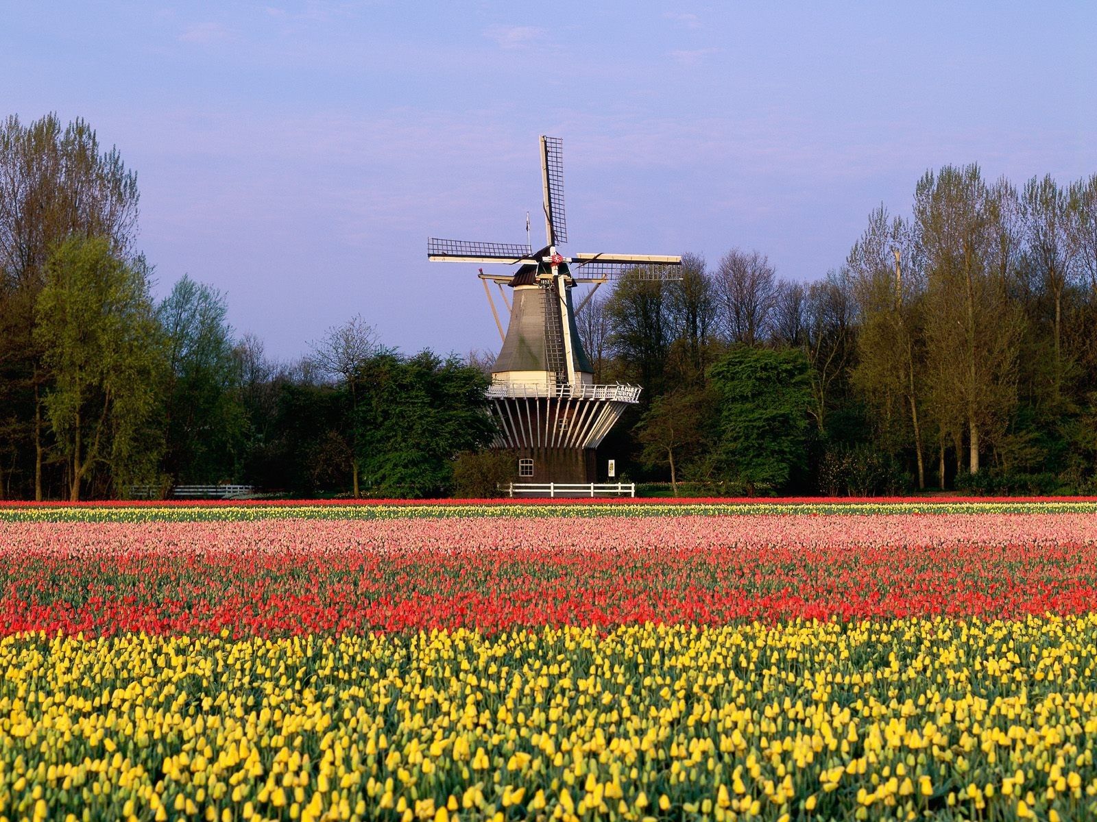 Netherlands Landscapes Wallpapers