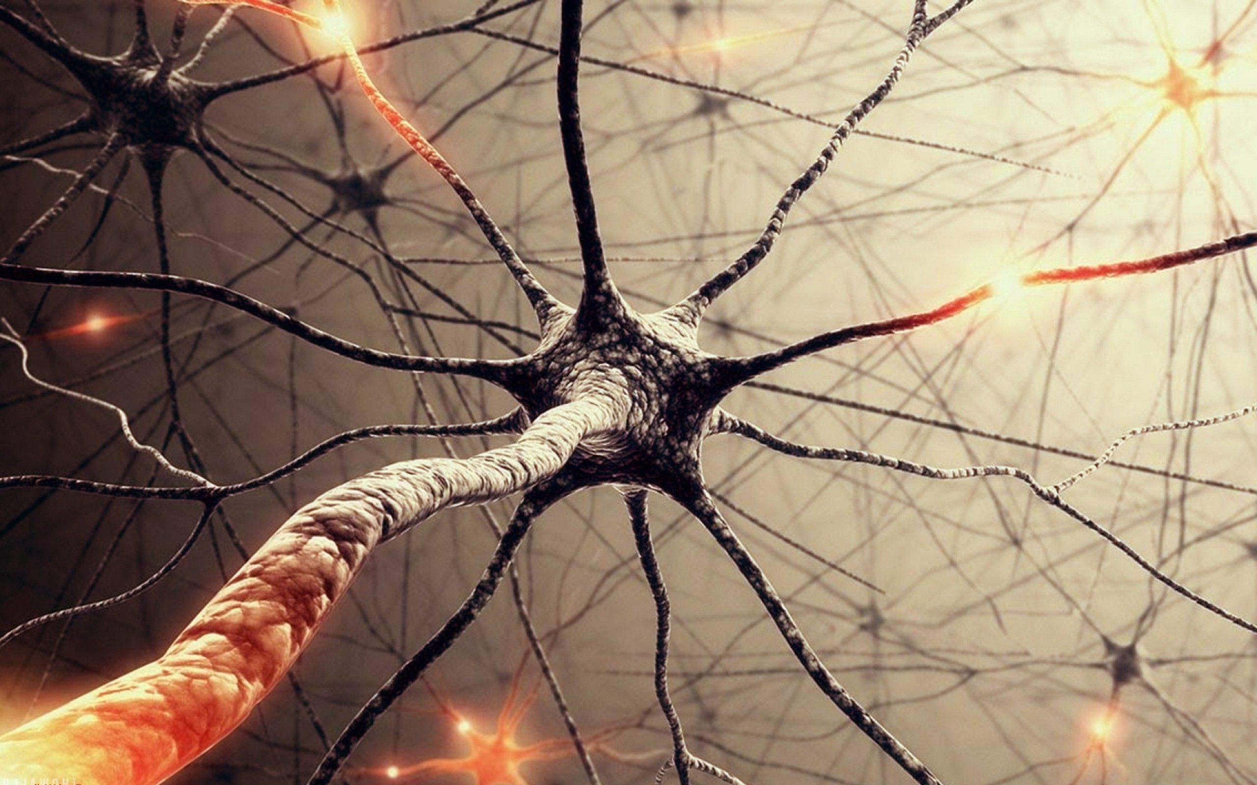 Neuron Wallpapers