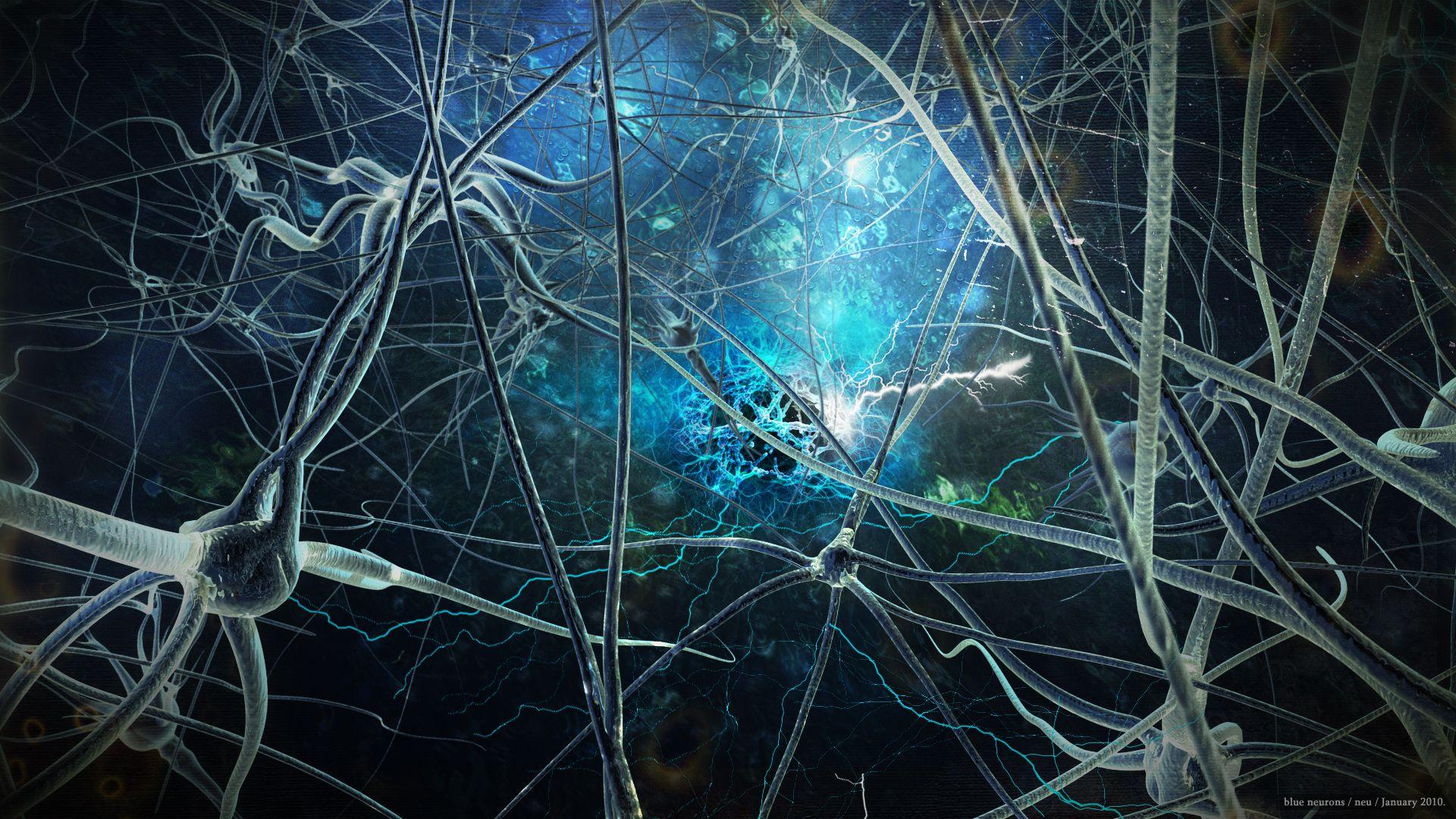 Neuron Wallpapers