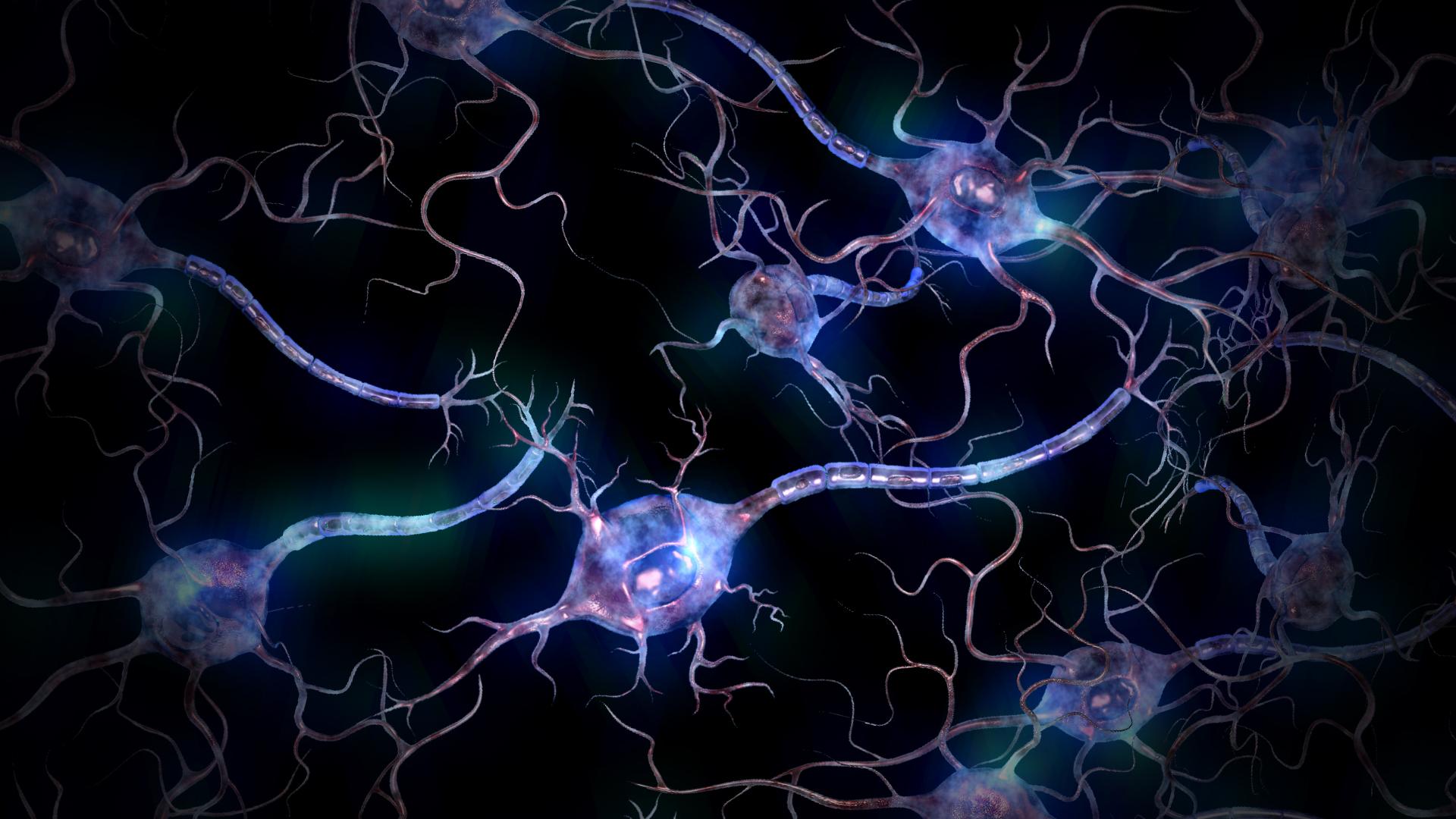 Neuron Wallpapers