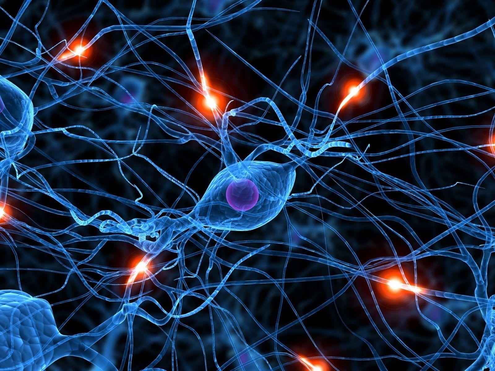 Neuron Wallpapers