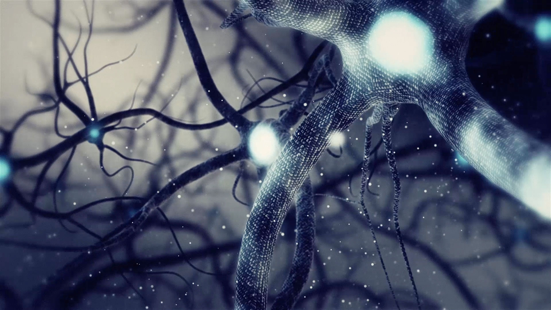 Neuron Wallpapers