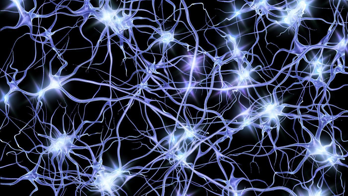 Neuron Wallpapers