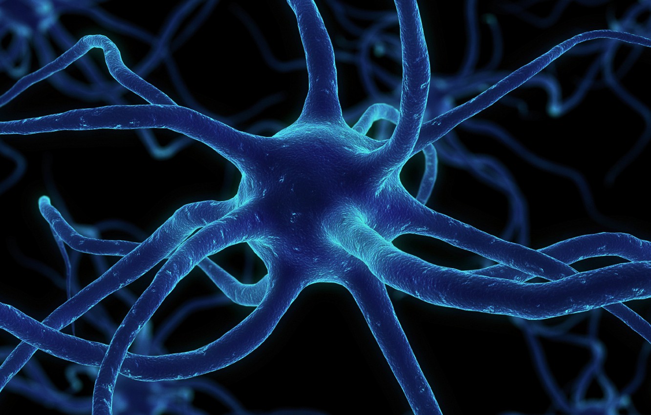 Neuron Wallpapers