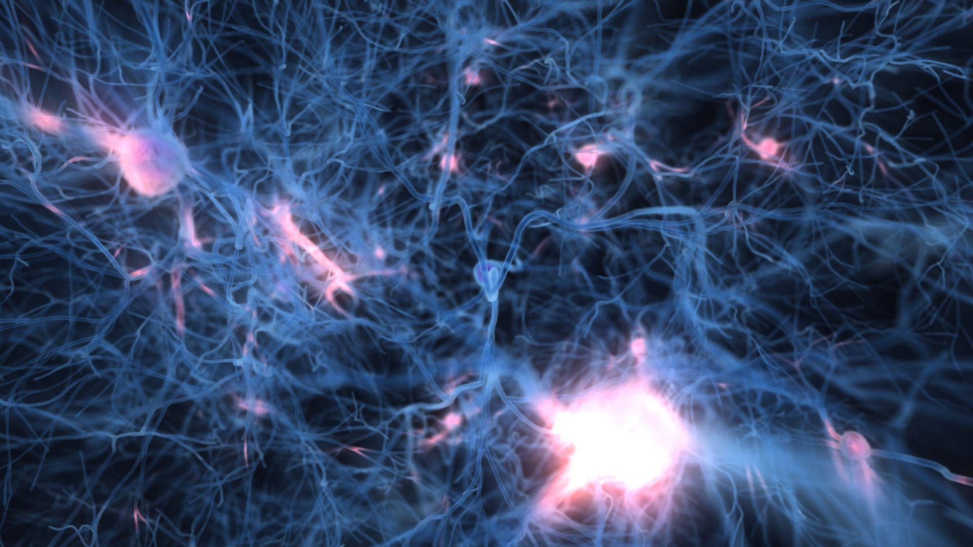 Neuron Wallpapers