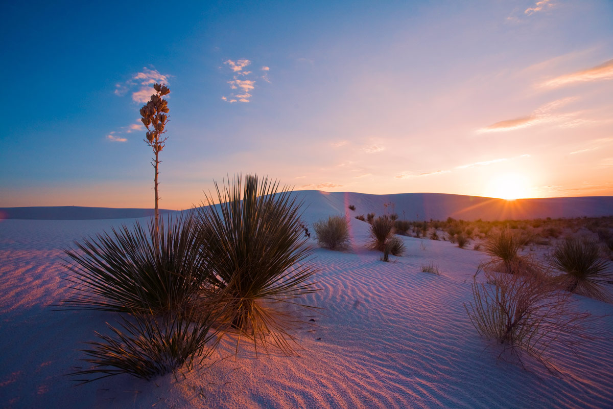 New Mexico Sunset Wallpapers