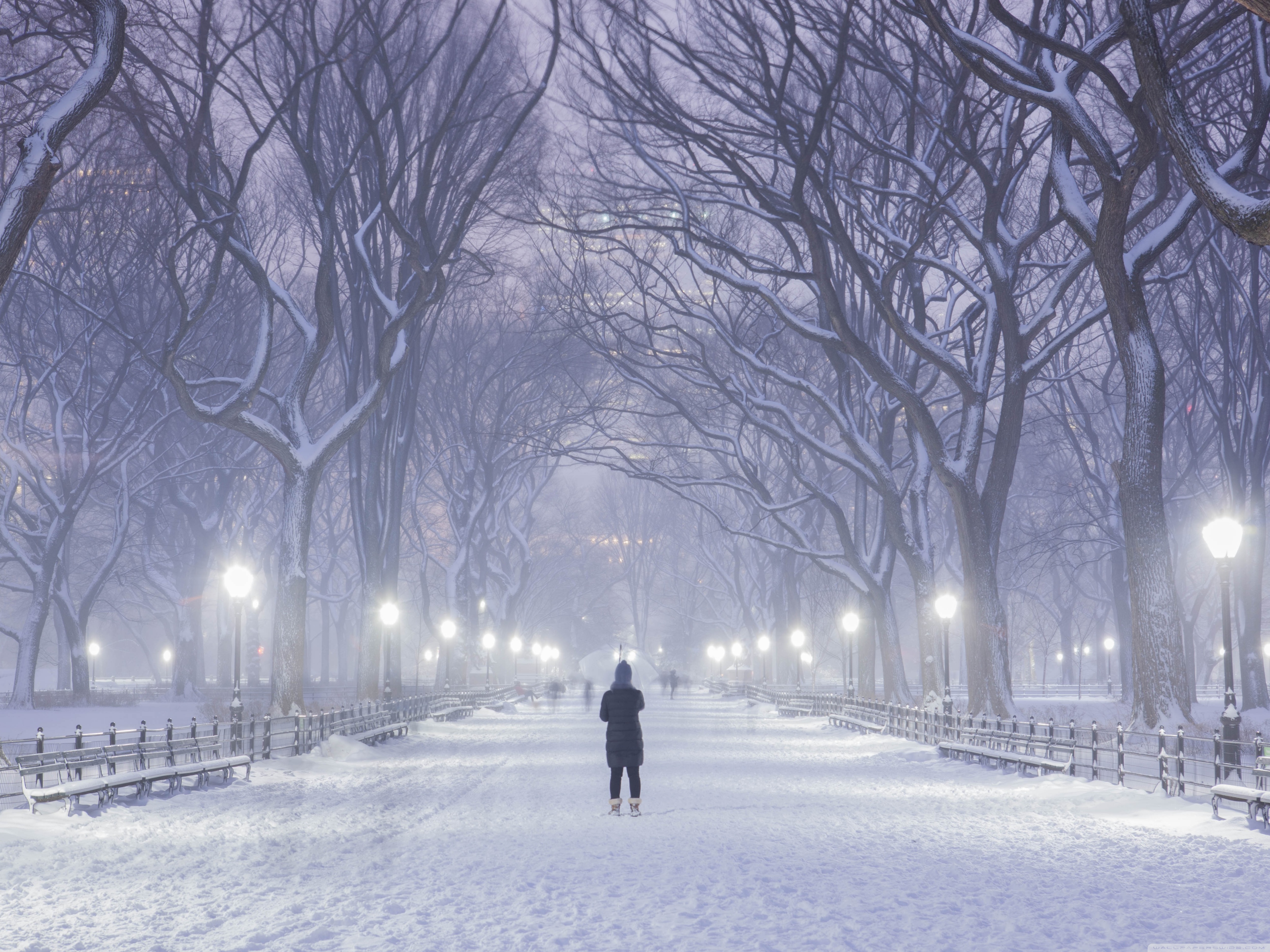 New York Winter Wallpapers