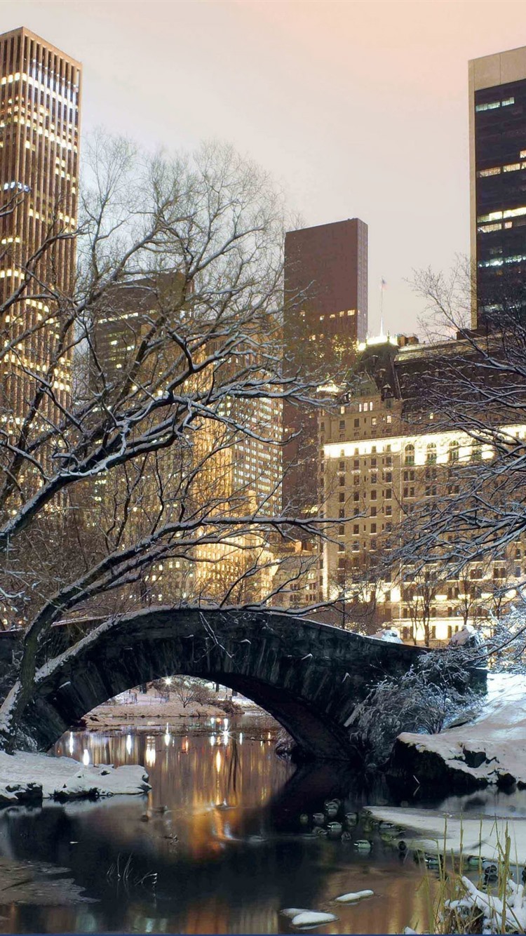 New York Winter Wallpapers