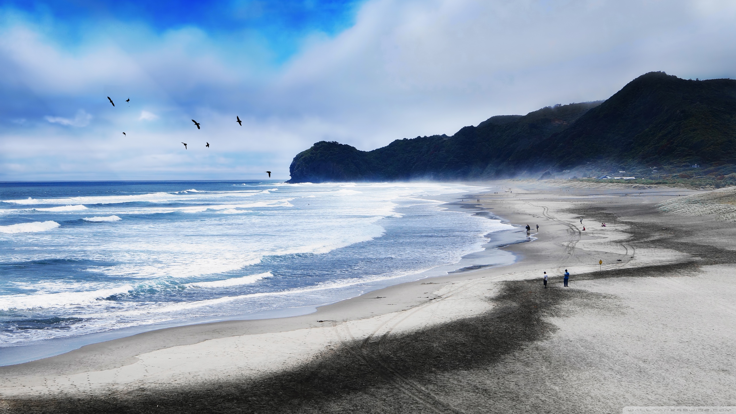 New Zealand Beach Images Wallpapers