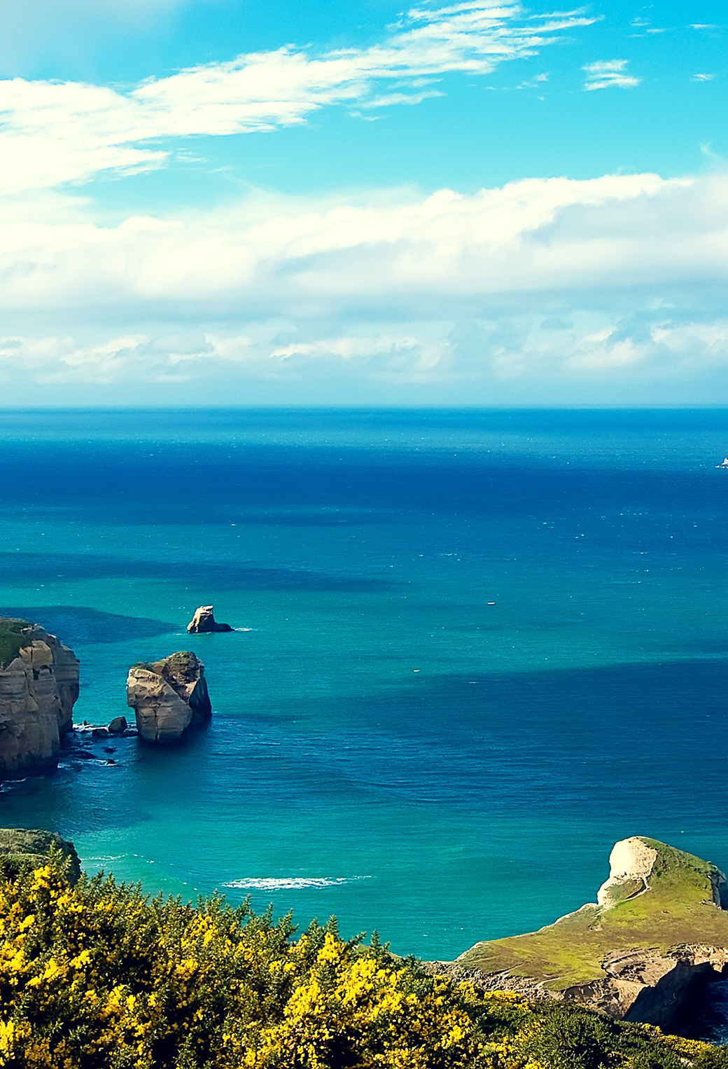 New Zealand Phone Wallpapers