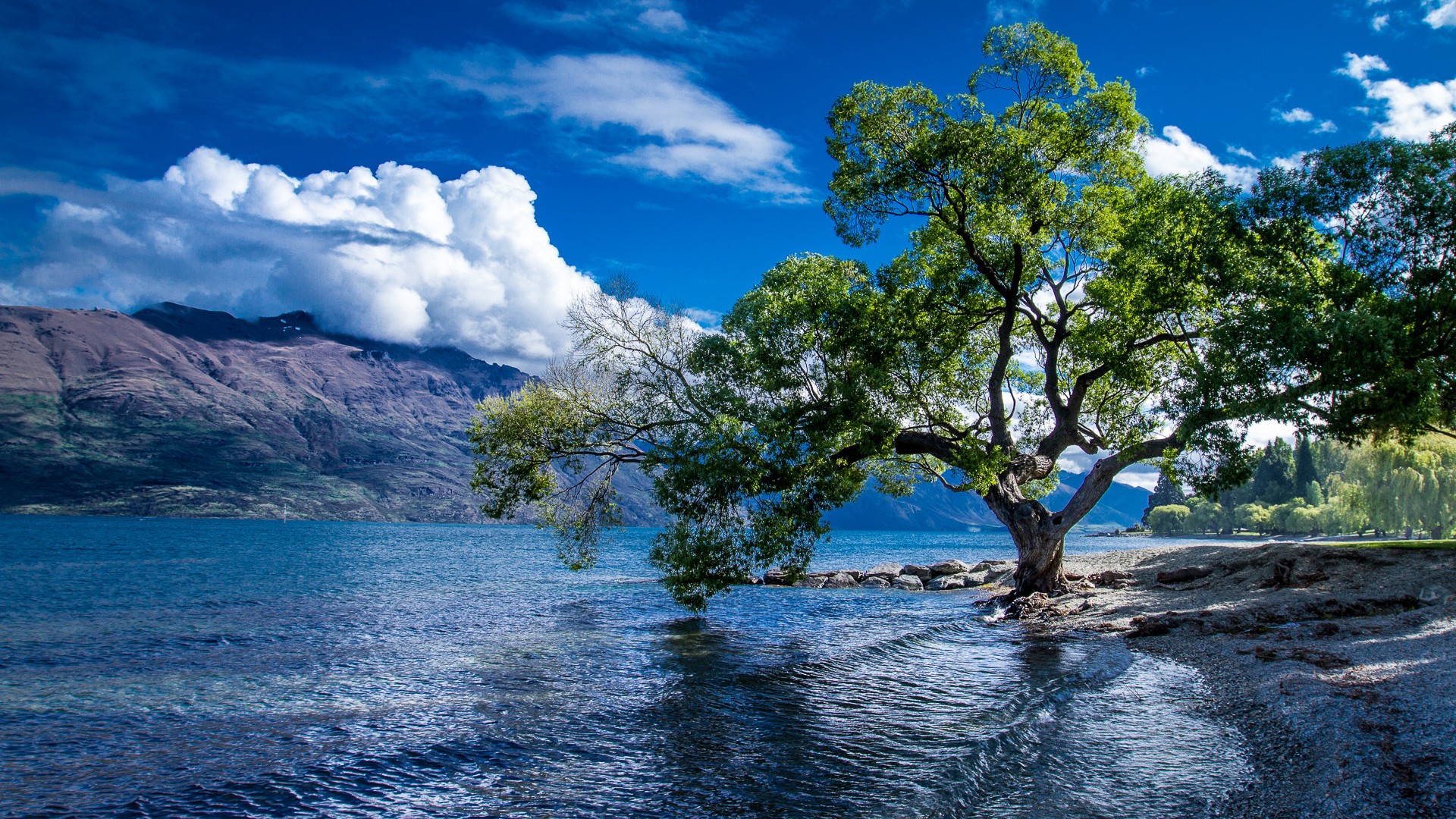 New Zealand Scenery Images Wallpapers