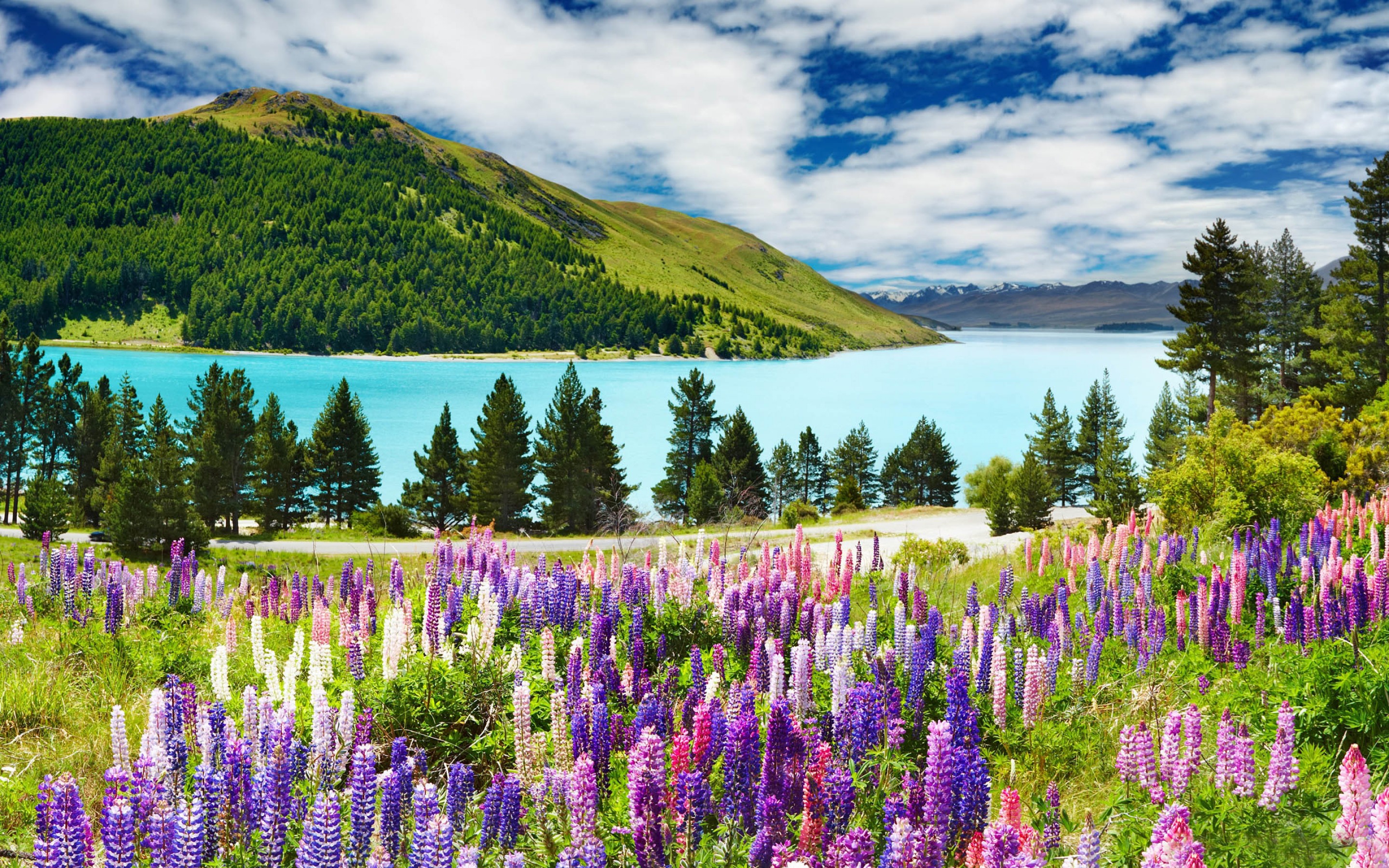 New Zealand Scenery Images Wallpapers