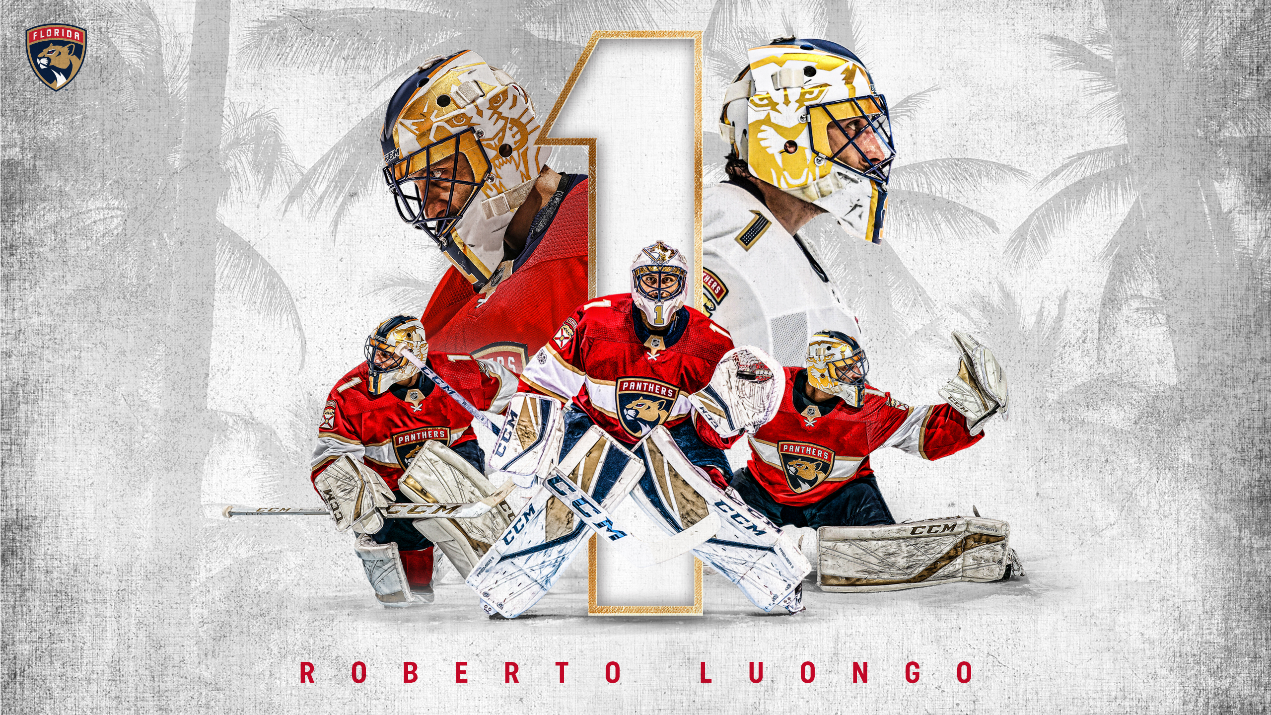 Nhl Goalie Wallpapers