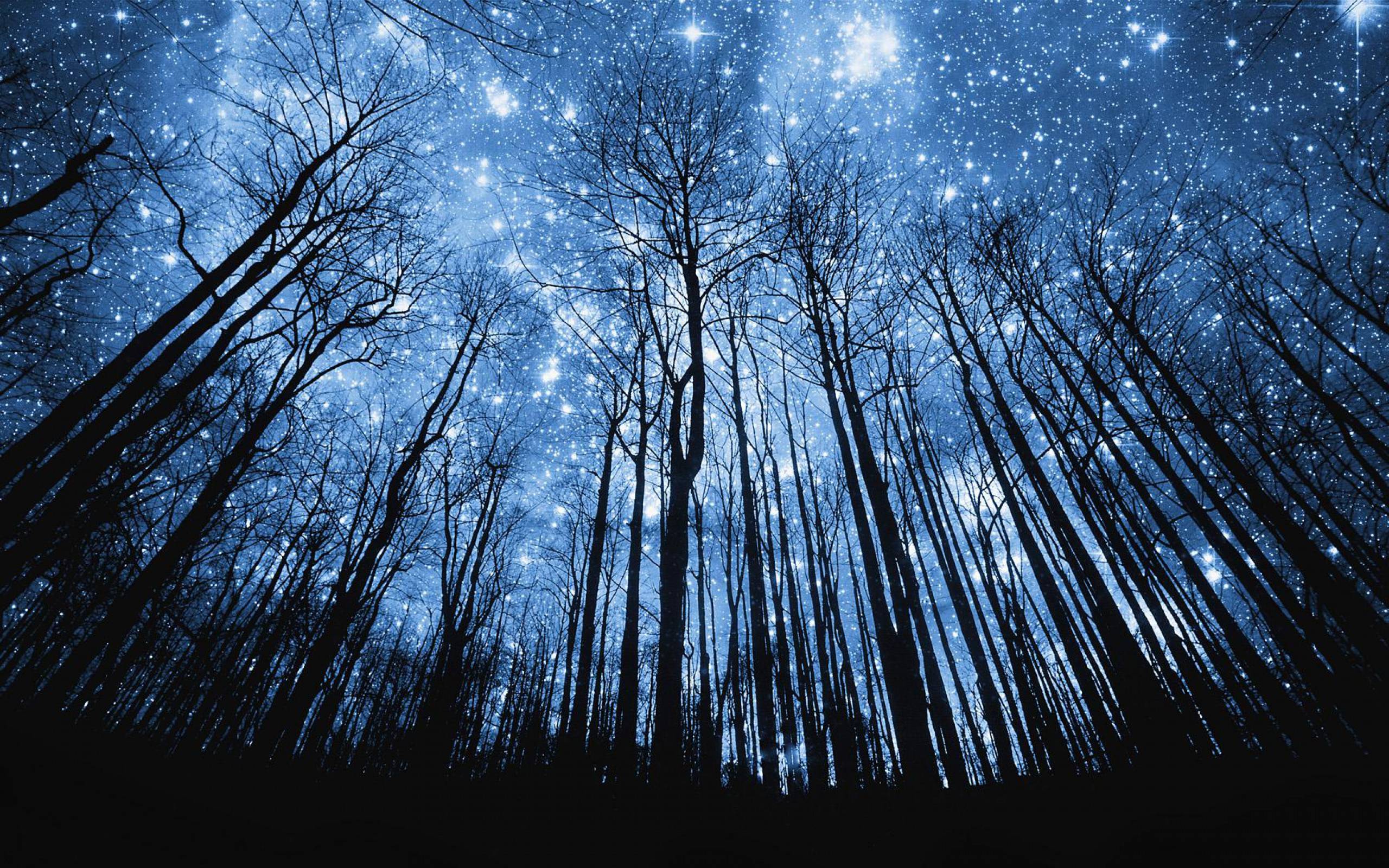Night Sky Starry Night Wallpapers