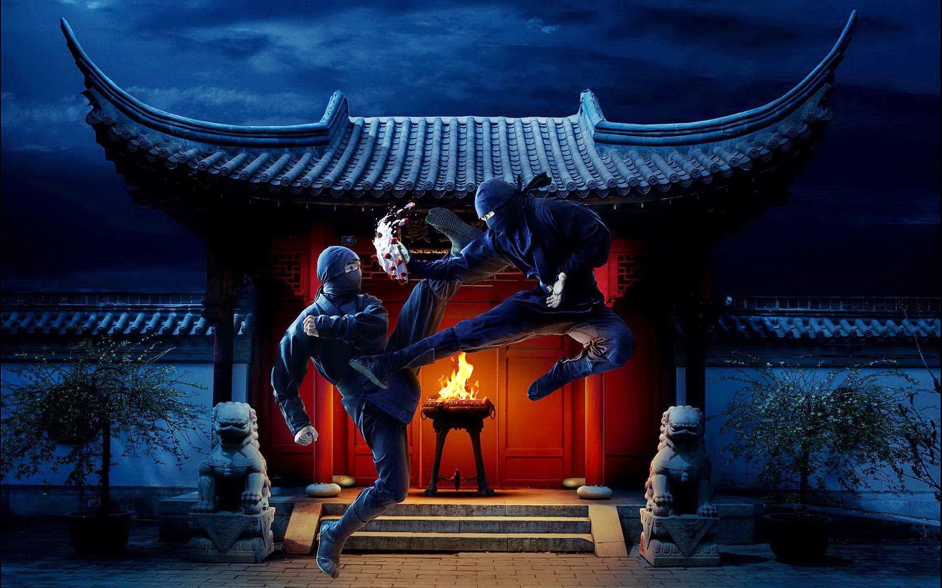 Ninja Fight Screensaver Wallpapers