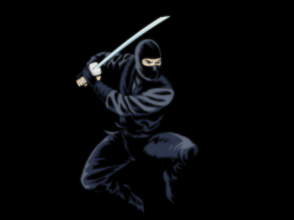 Ninja Fight Screensaver Wallpapers