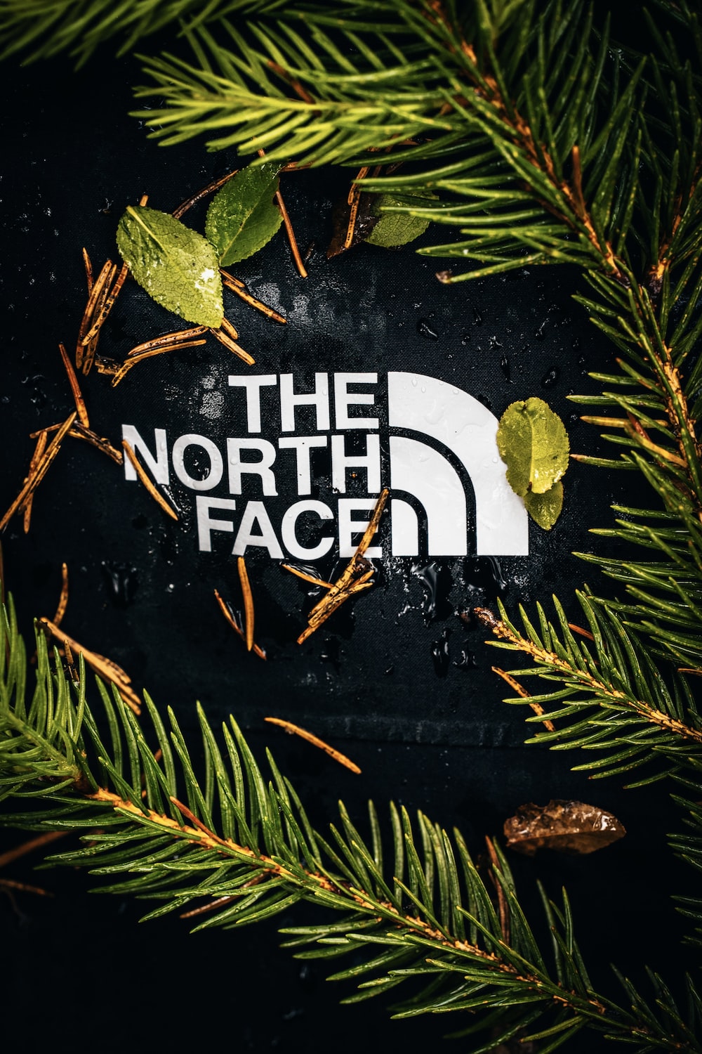 North Face Wallpapers