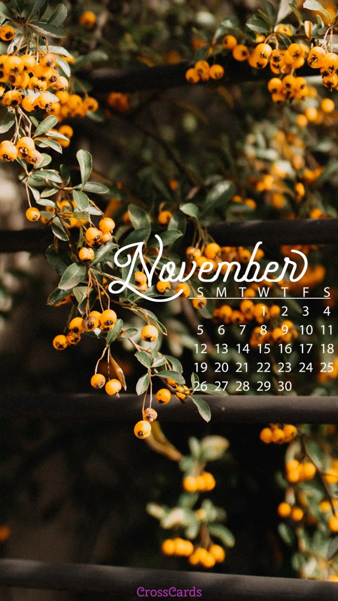 November 2017 Wallpapers