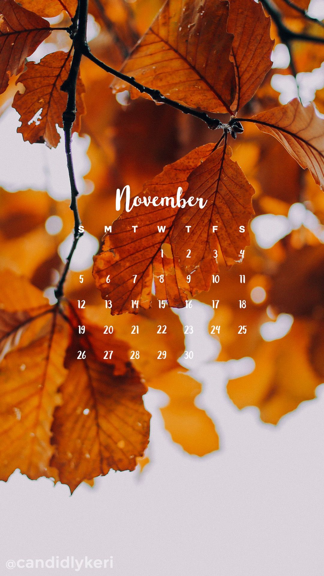 November Fall Images Wallpapers