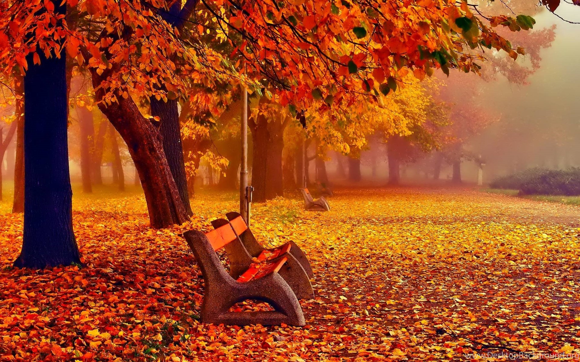 November Fall Images Wallpapers