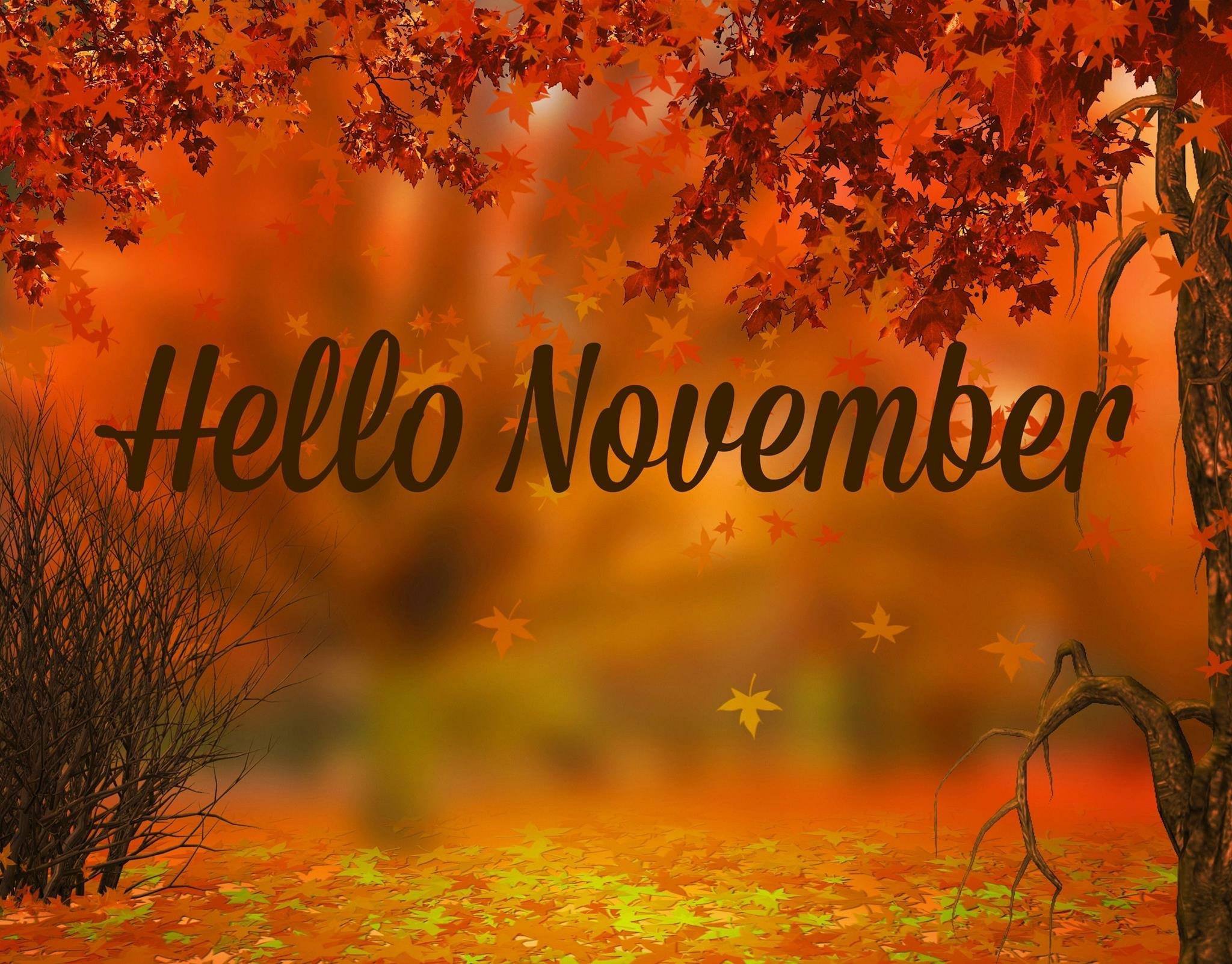 November Fall Images Wallpapers